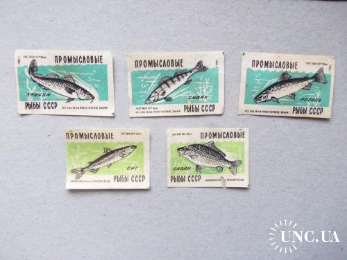 спичечные этикетки (Н)-промысловые рыбы-5 шт-1959г- состояние на фото!

