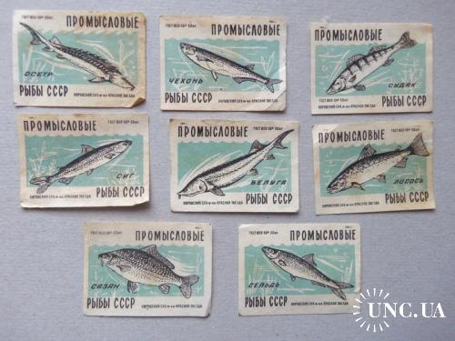 спичечные этикетки (Н)-промысловые рыбы-8 шт-1959г- состояние на фото!
