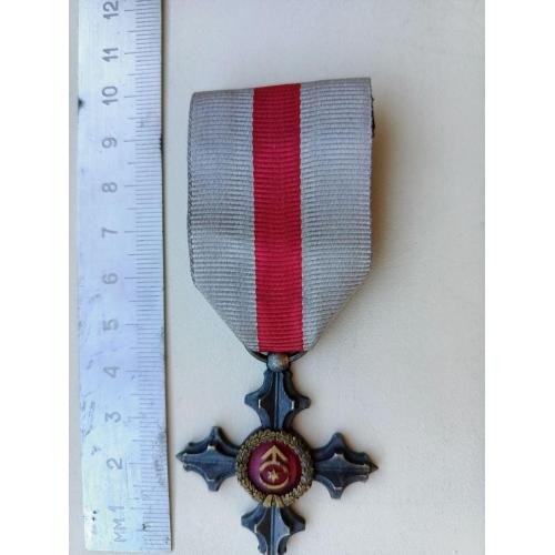 Почесні нагрудні знак  Головнокомандувача Збройних Сил України СТАЛЕВИЙ ХРЕСТ! 