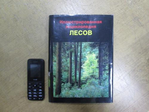 Иллюстрированная энциклопедия лесов. Ян Еник
