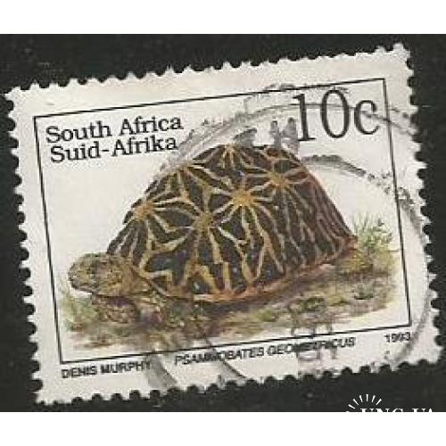 Африка Фауна Земноводные Черепахи Интересная Редкая