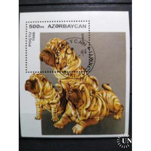 Азербайджан Фауна Домашние животные Собаки Блок
