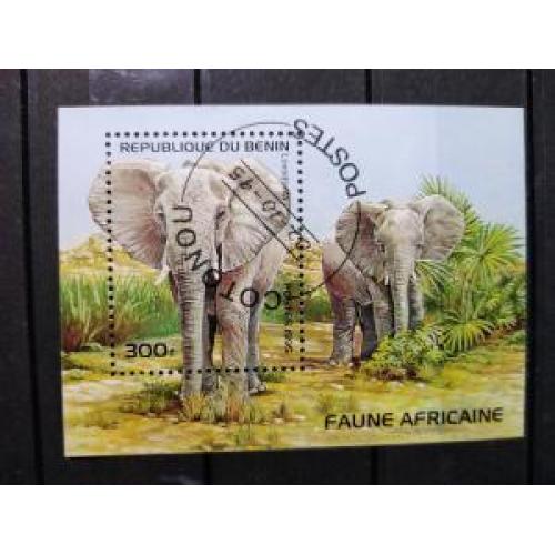 Бенин Фауна Африканские Животные Слоны Мамонты Блок