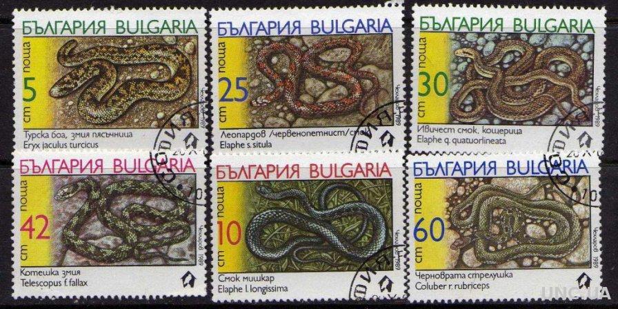 Болгария Фауна Земноводные Змеи Гады Серия
