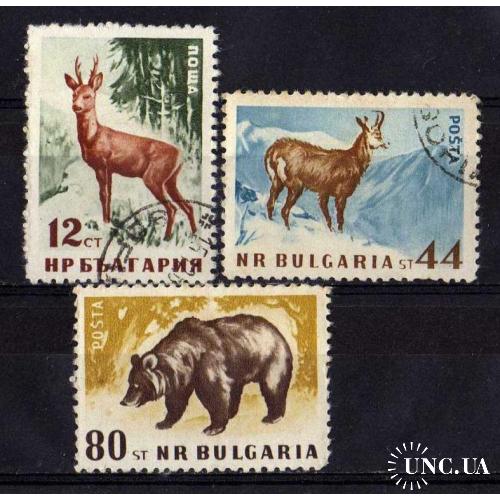 Болгария Фауна Животные Звери Старые Редкие