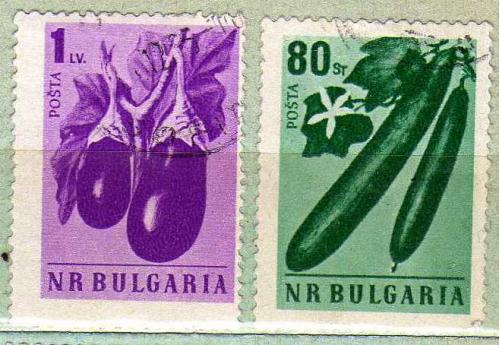 Болгария Сельское хозяйство Сбор урожая Огороды Грядки Баклажаны Огурцы