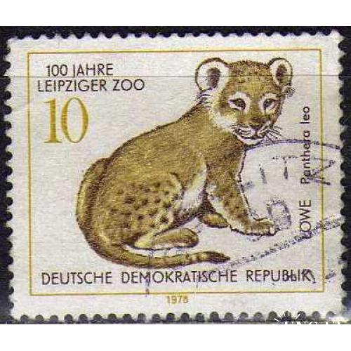 ГДР Фауна Животные Кошачьи Леопарды Тигры Пумы 1978 Редкая