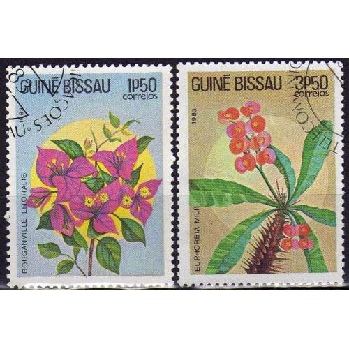 Гвинея Биссау Флора Цветы Растения Пара