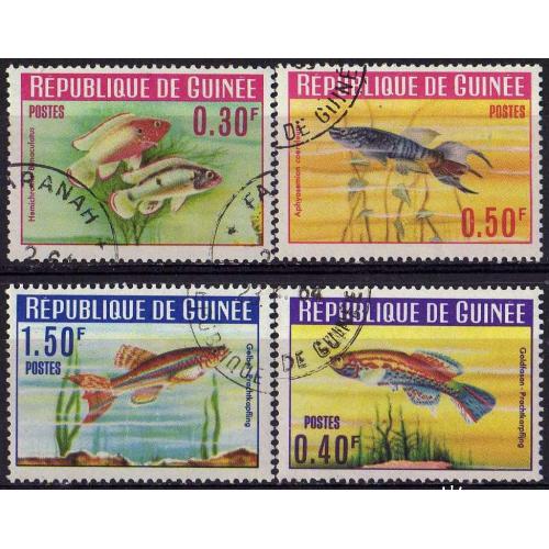 Гвинея Фауна Морские обитатели Рыбы Серия