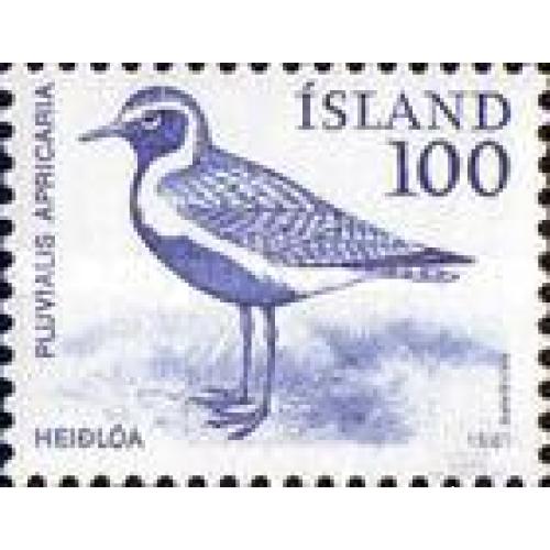 Исландия 1981 MNH Фауна Пернатые Птицы