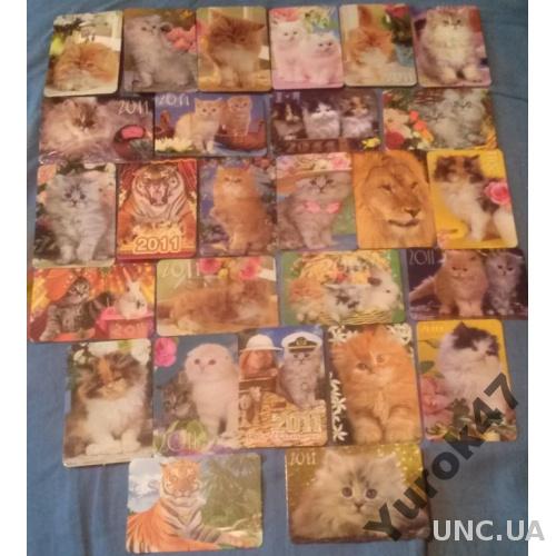 Календарики Фауна Домашние животные Кошки Кошачьи