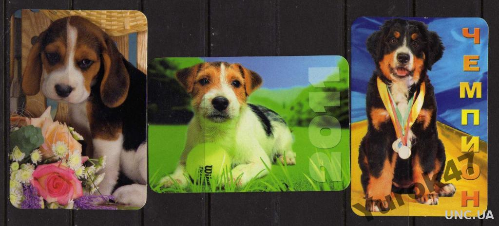 Календарики Фауна Домашние животные Собаки Питомцы