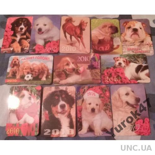 Календарики Фауна Домашние животные Собаки Псы