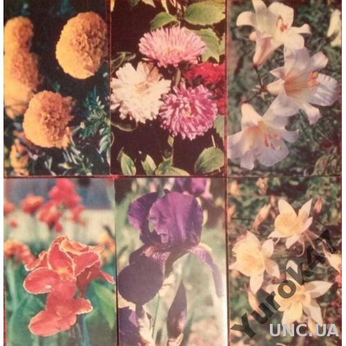 Комплект цветных открыток Садовые Цветы Флора