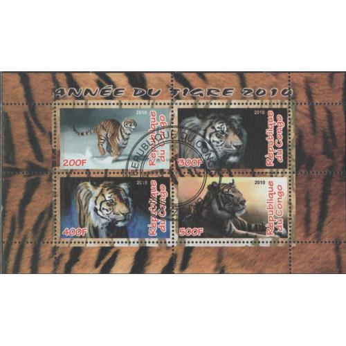 Конго Фауна Кошачьи Хищники Львы Тигры Леопарды Гепарды Блок