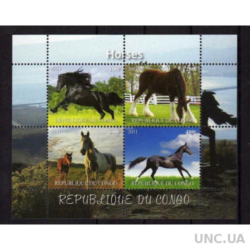 Конго Фауна Лошади Животные Кони Блок Чистый