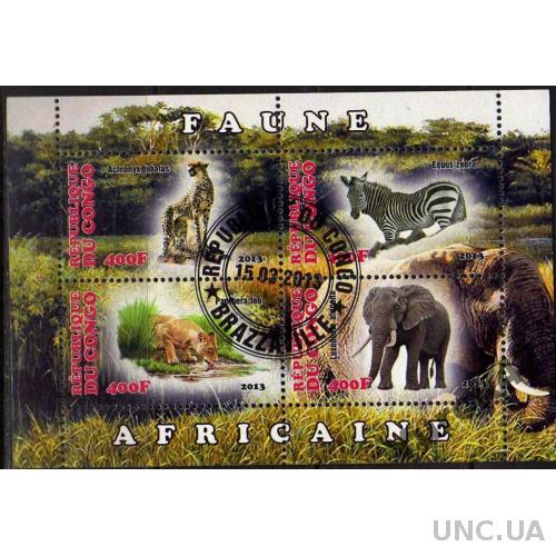 Конго Фауна Животные Звери Хищники Слоны Зебры Кошачьи Блок