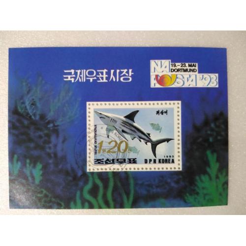 Корея Фауна Морские обитатели Рыбы Акулы Блок