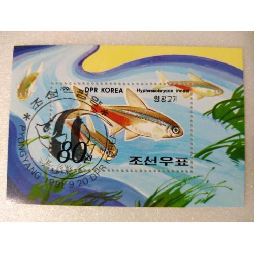 Корея Фауна Морские обитатели Рыбы Блок