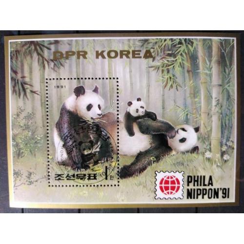 Корея Фауна Животные Медведи Панды Блок