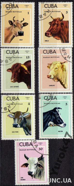Куба Фауна Сельское хозяйство Фермерство Коровы Полная Серия