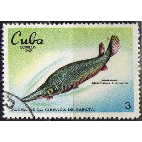 Куба Фауна Морские обитатели Рыбы 1969 Редкая