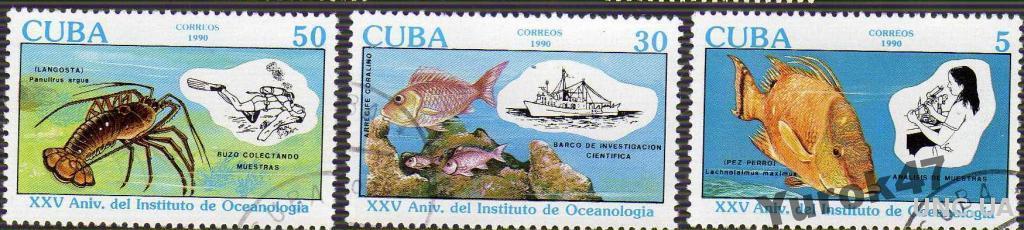 Куба Фауна Морские обитатели Рыбы