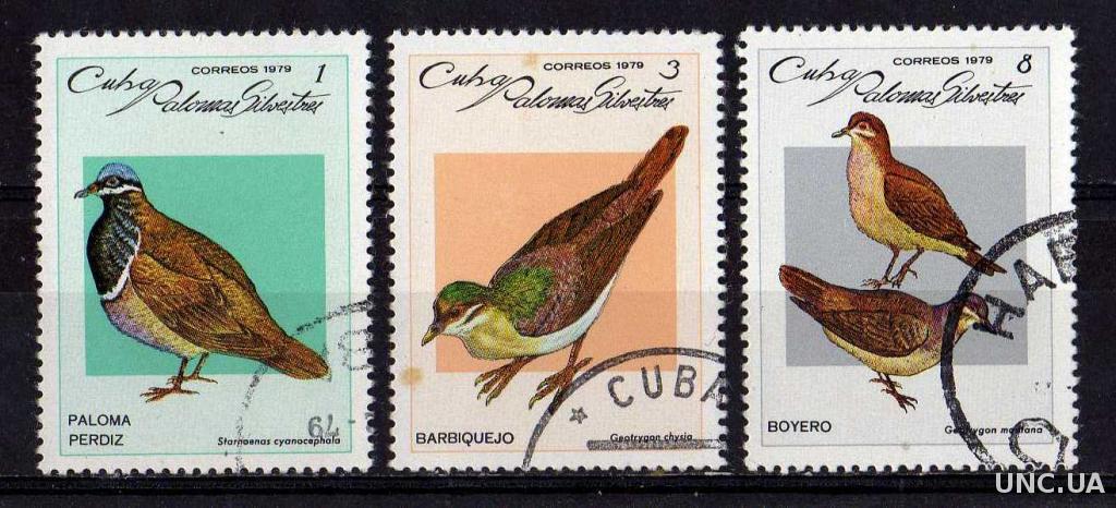 Куба Фауна Птицы Пернатые
