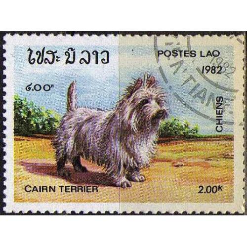 Лаос Фауна Домашние животные Собаки 1982 Интересная