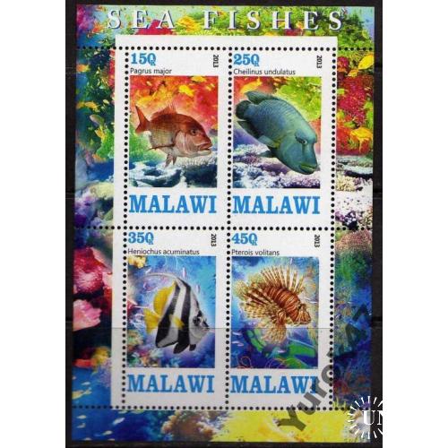 Малави Фауна Морские обитатели Рыбы Блок Чистый