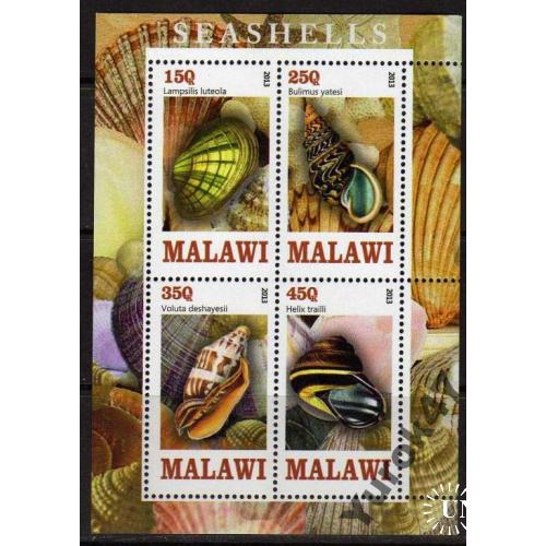 Малави Фауна Окаменелости Моллюски Ракушки Блок Чистый