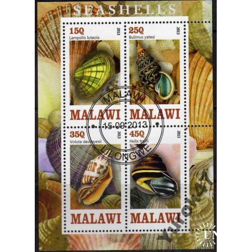 Малави Фауна Окаменелости Моллюски Ракушки Блок