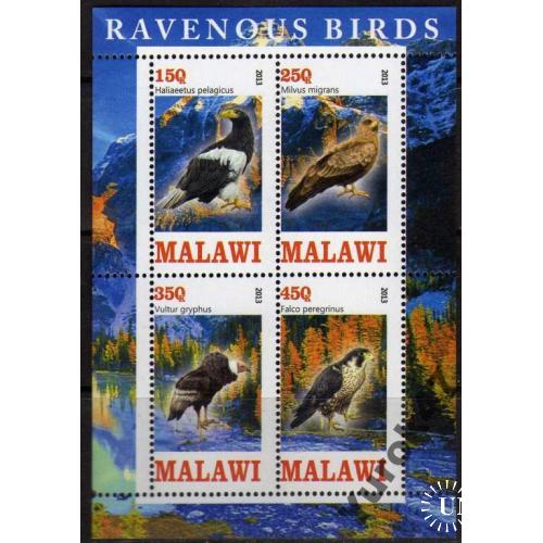 Малави Фауна Птицы Пернатые Хищники Блок Чистый