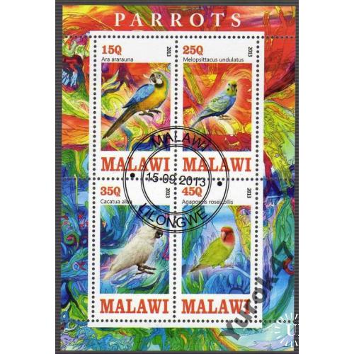 Малави Фауна Птицы Пернатые Попугаи Блок