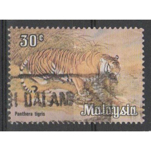 Малайзия Фауна Животные Кошачьи Тигры Пантеры Львы Интересная