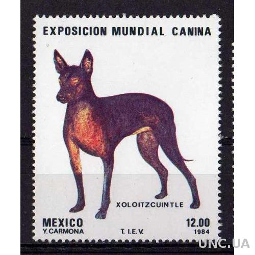 Мексика Фауна Домашние животные Собаки 1984 MNH КЦ 1,00 Евро