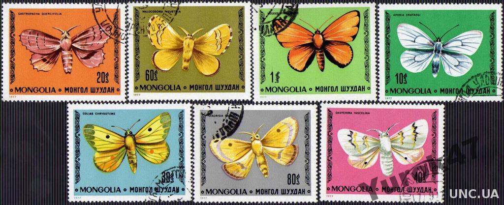 Монголия Фауна Насекомые Бабочки Жуки Редкие