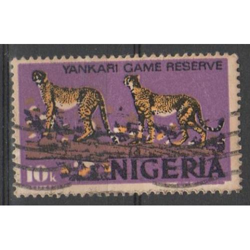 Нигерия Фауна Животные Кошачьи Гепарды Леопарды Пантеры Барсы Интересная