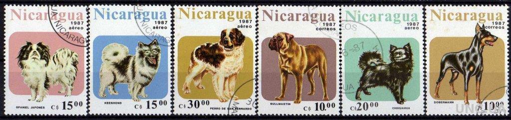 Никарагуа Фауна Домашние Собаки Серия Редкая