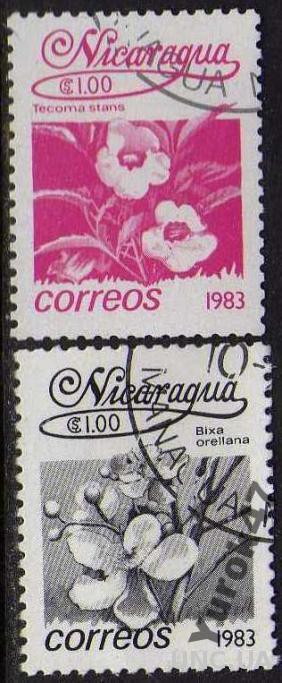 Никарагуа Флора Цветы Растения