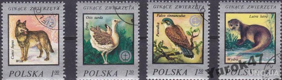 Польша Фауна Животные Птицы Звери Серия