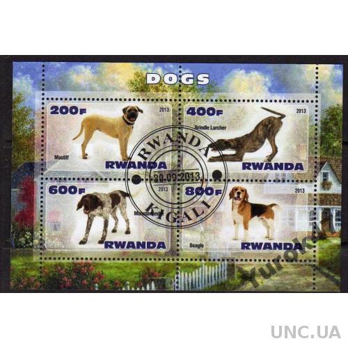 Руанда Фауна Домашние животные Собаки Породы Блок