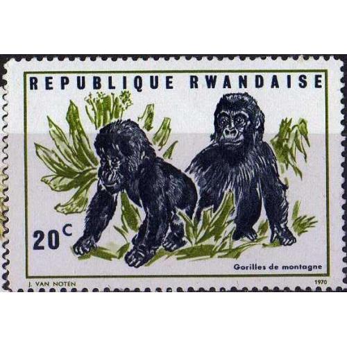 Руанда Фауна MNH Животные 1970 Приматы Обезьяны
