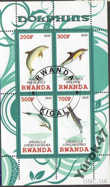 Руанда Фауна Морские обитатели Рыбы Антарктика Блок Сцепка
