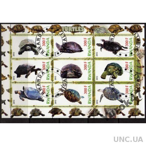 Руанда Фауна Земноводные Черепахи