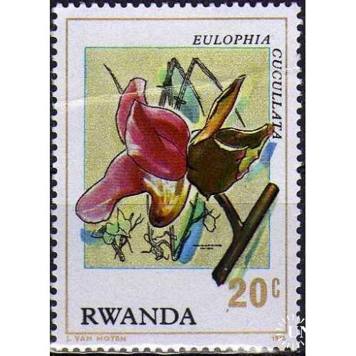 Руанда Флора Цветы Растения Интересная