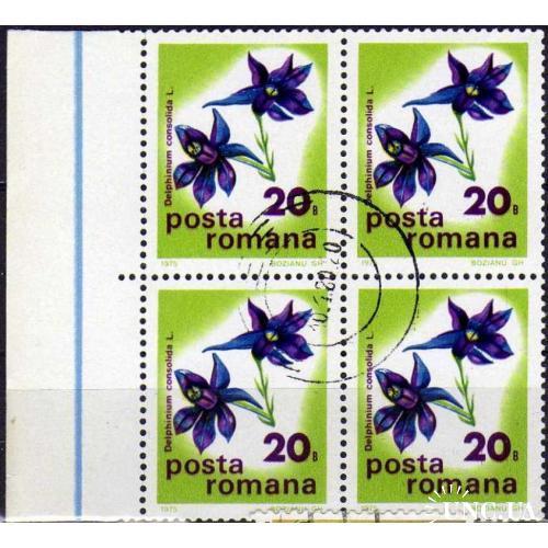Румыния Флора Цветы Растения Квартблок+поле