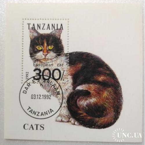 Танзания Фауна Домашние животные Кошки Блок