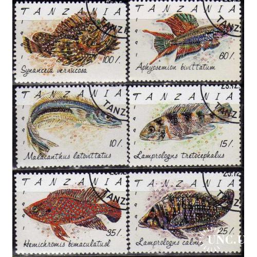 Танзания Фауна Морские обитатели Рыбы 1991 Серия