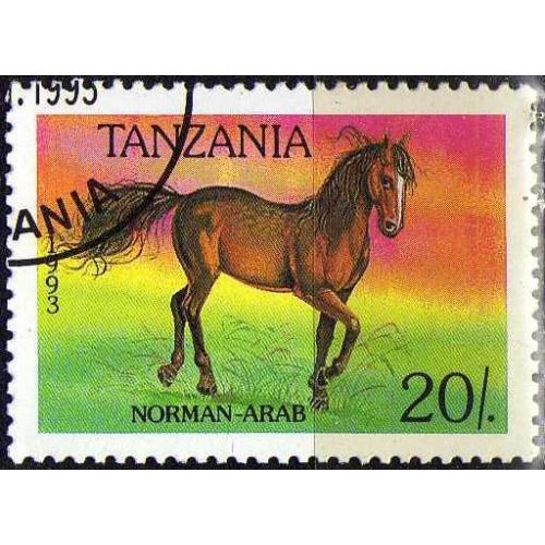 Танзания Фауна Животные Копытные Лошади Кони 1993 Интересная